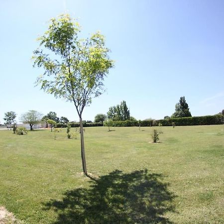 Appartement A 10Km De La Grande Motte, Palavas... Lunel  Exterior foto